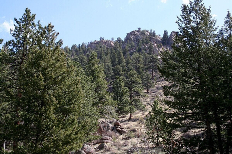Miscellaneous, Timber Creek Chalets: 5 1 Bedroom Chalet, Larimer