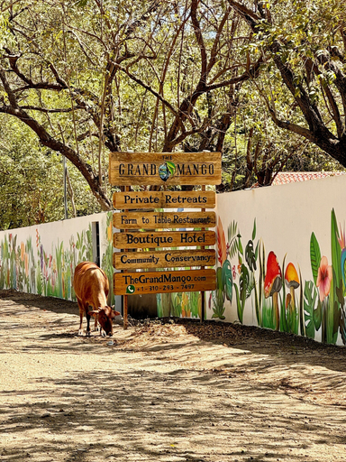 Others 5, The Grand Mango, Tola