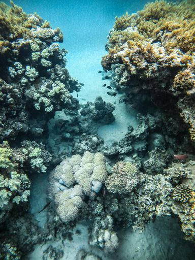 Others 4, Baraka Camp, Nuweiba'