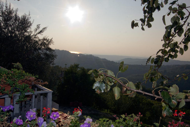 Others 5, Tourist Farm Robivera, Koper