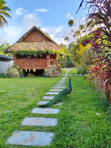 Others 3, Dreamink farm og Myl`s place, Sorsogon City