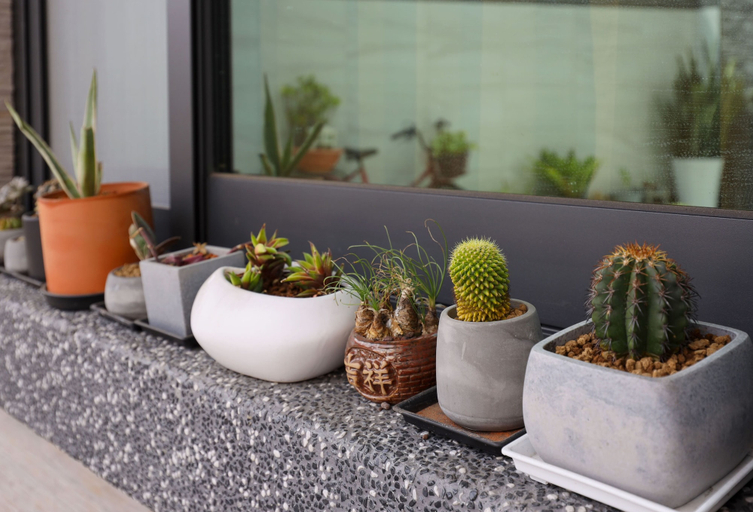 Others 5, Little yard No. 66 Homestay, Pingtung