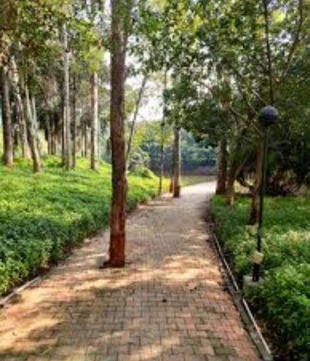 Surrounding environment, Humming Bird , Pune