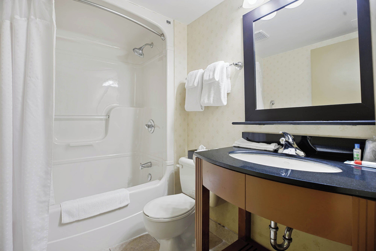 Bathroom, Sandman Hotel & Suites London Downtown, Middlesex