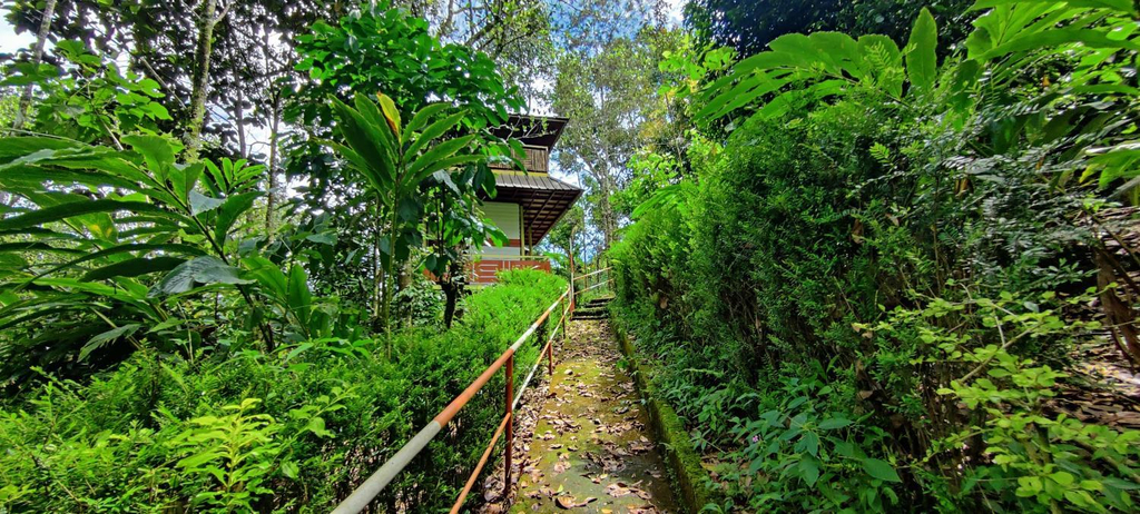 Surrounding environment 4, Bestinn Leisure Chalona Munnar, Idukki