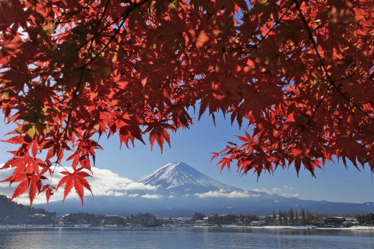 Others 4, Erable Mt.Fuji "Zen", Fujikawaguchiko