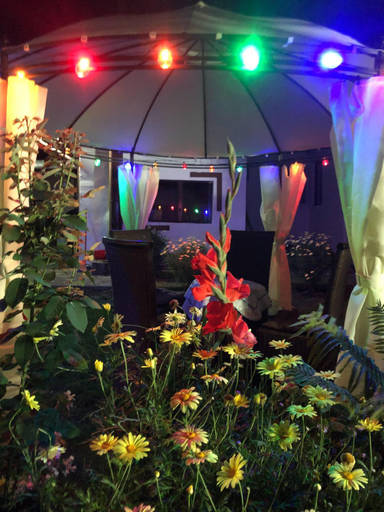 Food & Drinks, Podul De Brazi, Cartisoara