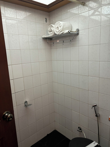 Bathroom 3, Kailash Parbat, Pune