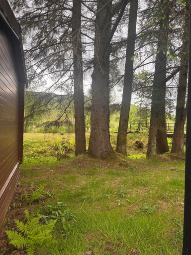 Others 5, Ben More Lodge, Stirling