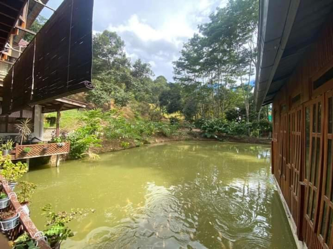Others 5, Jimmy Durian Orchard, Bentong