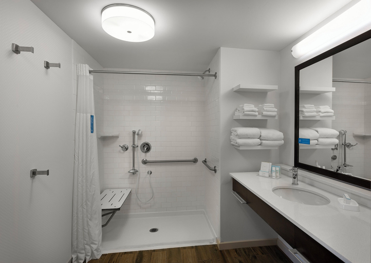 Bathroom 5, Hampton Inn & Suites Fort Mill, York