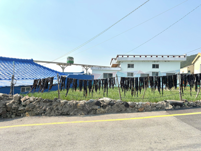 Exterior & Views, blackkoi stay, Haeundae