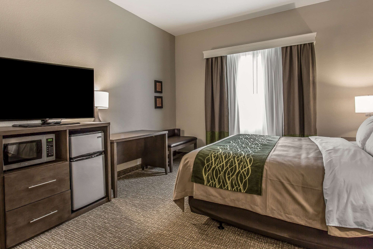 Bedroom 3, Comfort Inn & Suites, Scurry