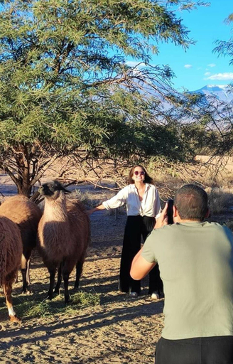 Others 2, Cabanas Voyage Atacama, El Loa