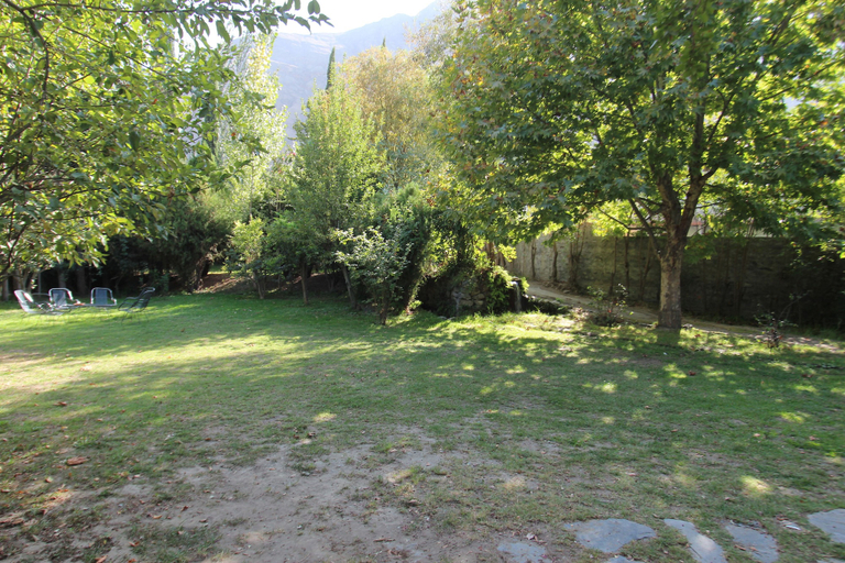 Others 4, Springfield, Northern Areas