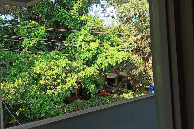 Others 5, Hotel Blue Heaven, Satara