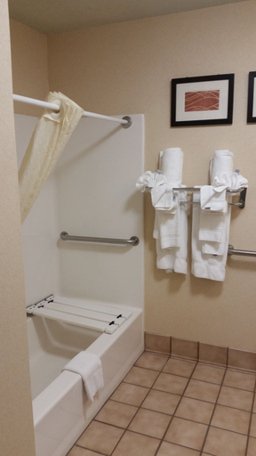 Bathroom 4, Comfort Inn Fort Collins North, Larimer