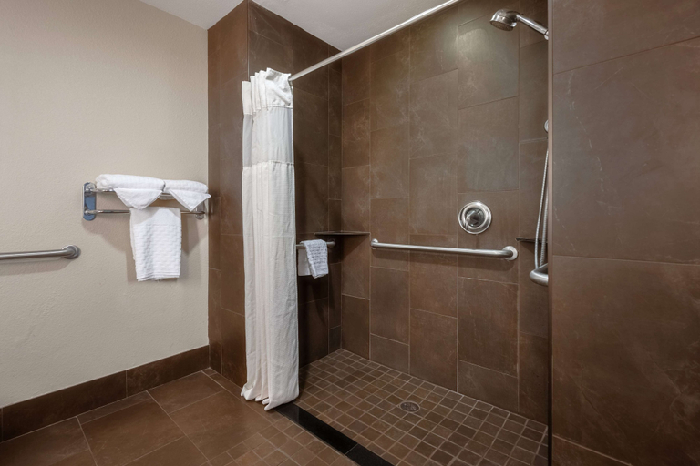 Bathroom 4, Best Western Premier Bryan College Station, Brazos
