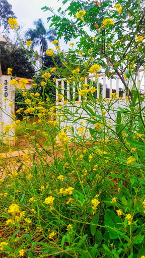 Others 5, Rancho Acacia Sao Roque, São Roque