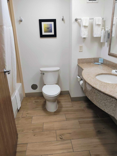 Bathroom 4, Summit Suites, Campbell
