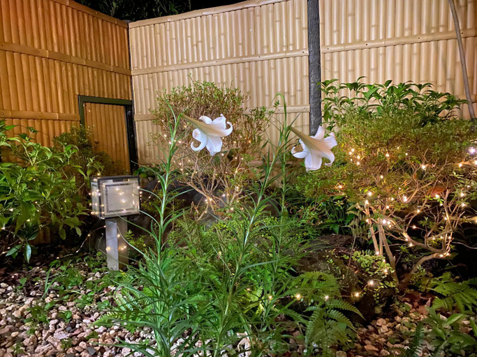Others 5, Hanamizuki Hot Spring Resort, Itō