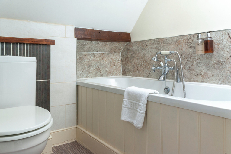 Bathroom 5, The Dragon Hotel, Powys