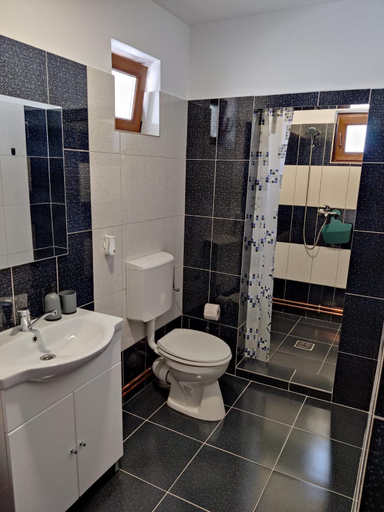 Others 4, Casa Marina, Calimanesti
