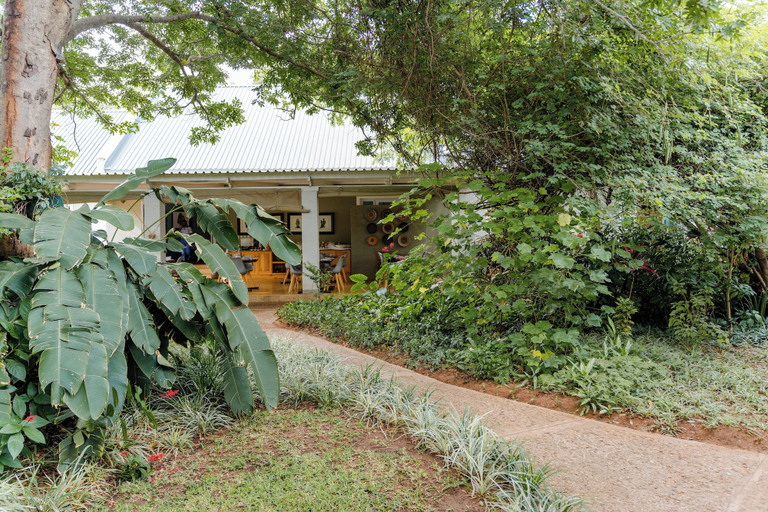 Others 5, PheZulu Guest Lodge, Hwange