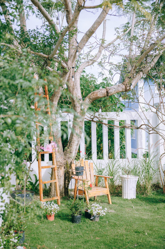 Chimote Housen- Full Villa 6 bed rooms, Đà Lạt