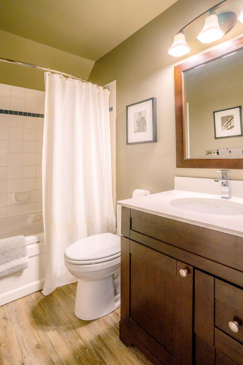 Bathroom 4, Hillside BLUE MTN family Loft, Grey