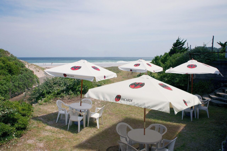 Others 3, MOANA, Shimoda