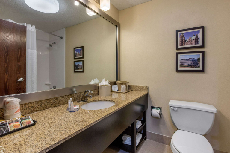 Bathroom 4, Comfort Inn Horn Lake - Southhaven, Desoto