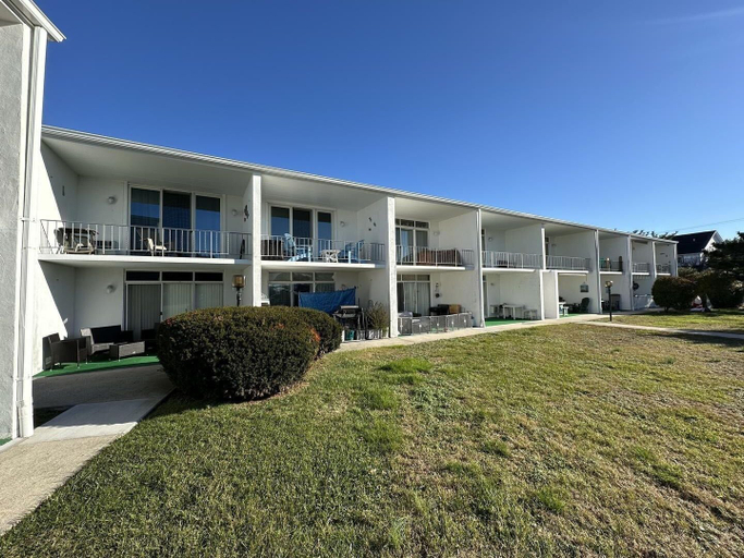 Primary image