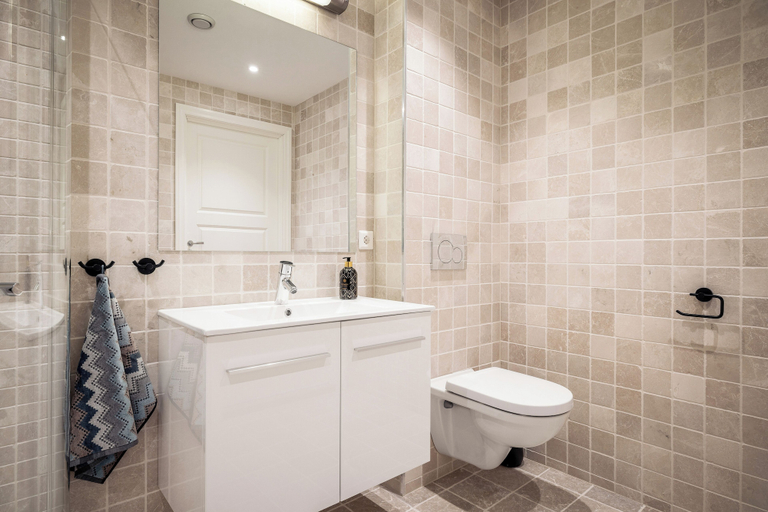 Bathroom 3, Gullstein, Hol