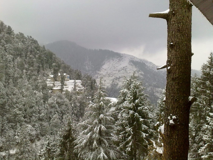 Others 5, Hotel Megha View Dalhousie, Chamba