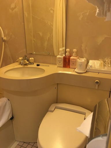 Bathroom 2, Hotel Sunlite Shinjuku, Shinjuku