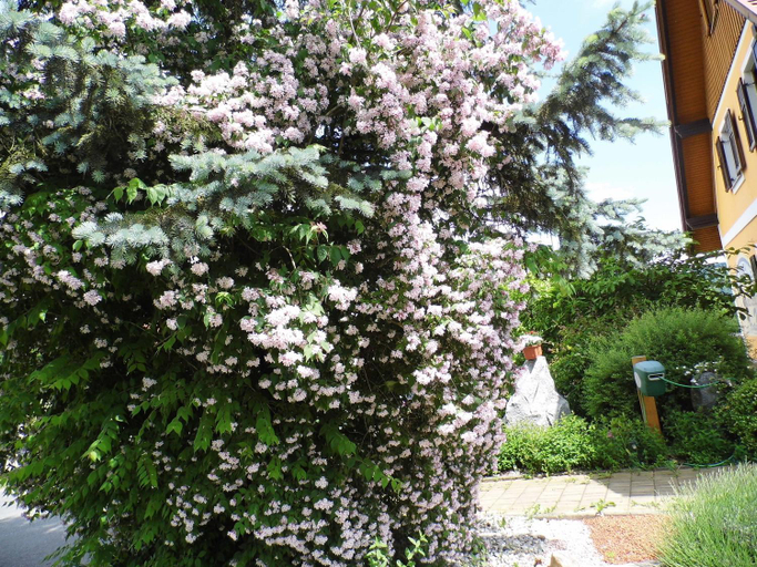 Garden, Gastehaus Ulbl, Leibnitz