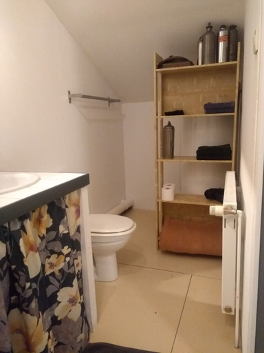 Bathroom 5, L'Ermite, Aisne