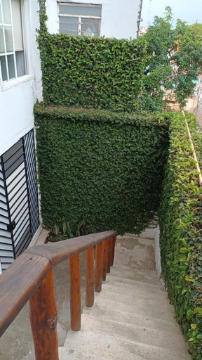 Exterior & Views 2, parrot house san antonio, Santiago de Cali