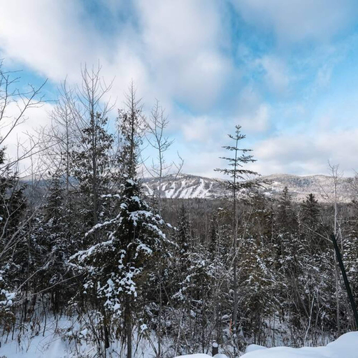 Room 5, Le Sherpa -spa Billard et acc s au lac, Matawinie