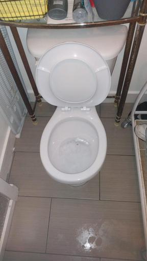 Bathroom 2, Auberge PVT Hostel, Montréal