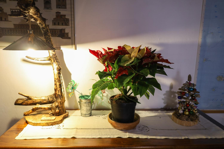 Food & Drinks 5, I Rosai appartamento sulle colline fiorentine, Florence
