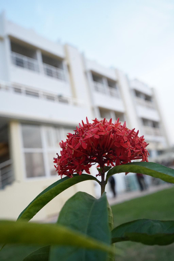 Others 3, Swet Palash Resort, Puruliya