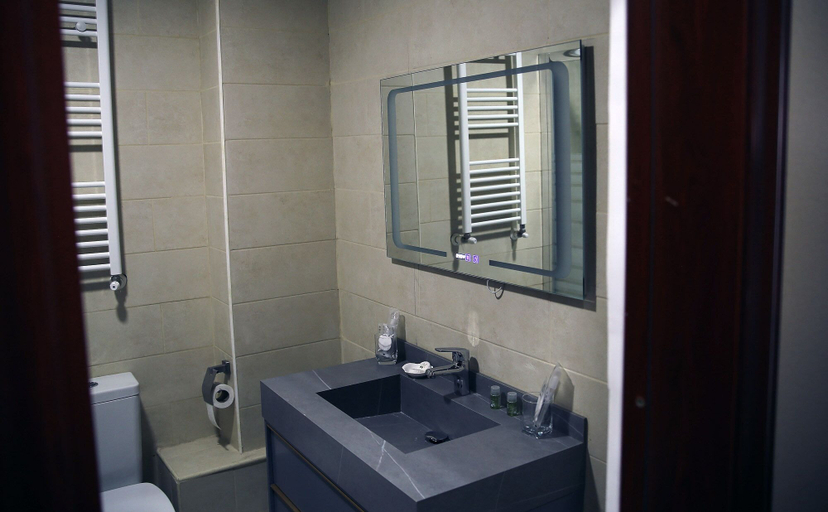 Bathroom 4, Peace House, Dobroesti