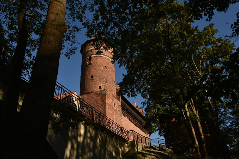 Others 3, Copernicus Prestige, Olsztyn