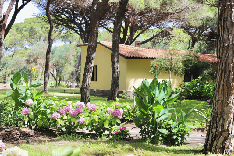 Exterior 2, Residence with swimming-pool in Arborea, Oristano
