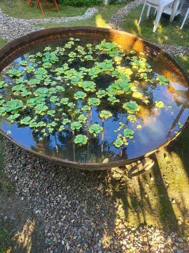 Sport & Beauty 2, The Tea Garden Homestay Dibrugarh, Dibrugarh