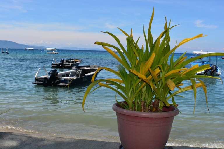 Others 2, Capt'n Gregg's Dive Resort, Puerto Galera