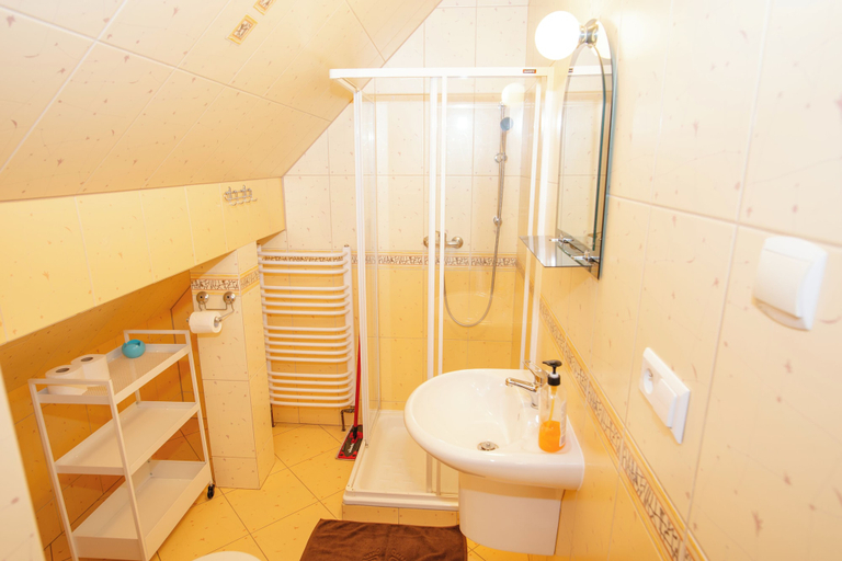 Bathroom 3, Gosciniec Pieciu Stawow, Bieszczady