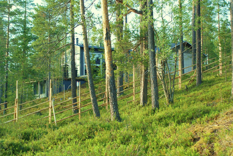 Others 4, The Little Elk, Northern Ostrobothnia